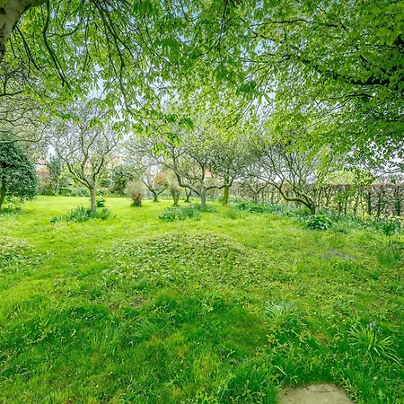 Highfields
